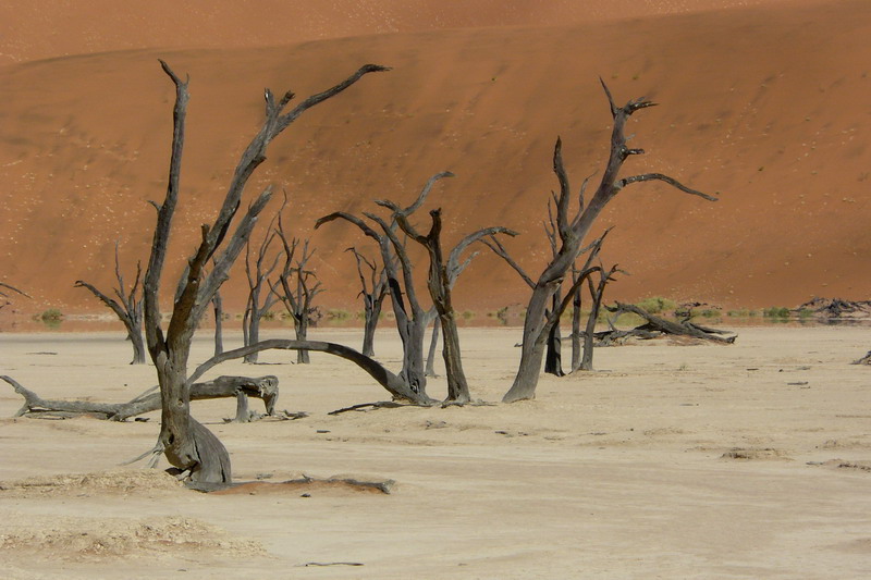 Deadvlei