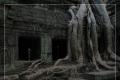 Ta Prohm