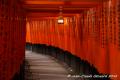 Fushimi Inari